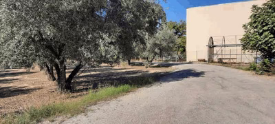 Rustica y otros en Partida de la Venta en Chiva (Valencia)