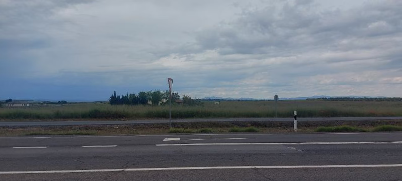 FINCA RUSTICA EN CARRION DE CALATRAVA (CIUDAD REAL)