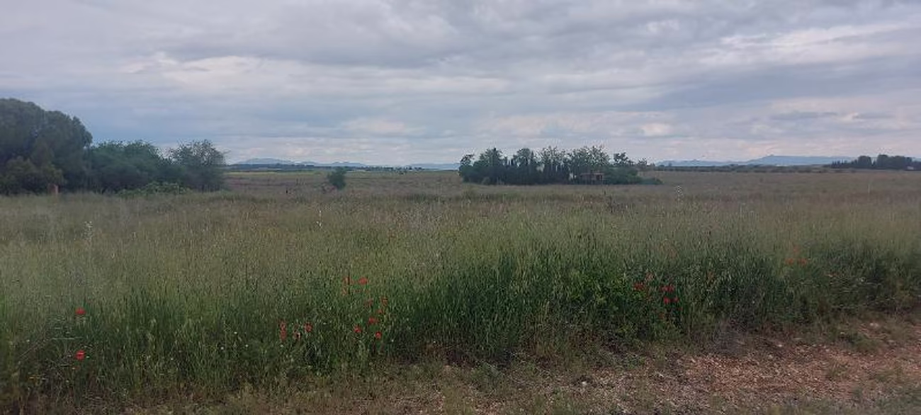 FINCA RUSTICA EN CARRION DE CALATRAVA (CIUDAD REAL)