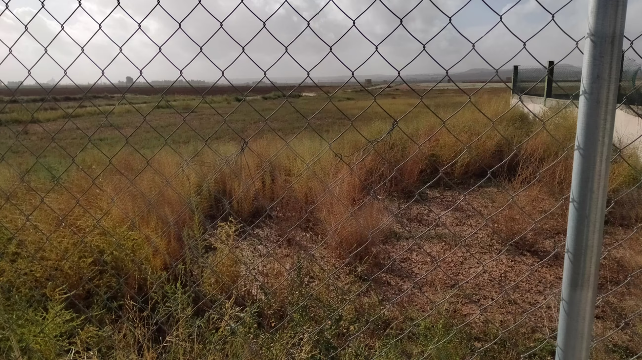 Terreno en Paraje casa de la Sima y el Rubial en Almansa (Albacete)