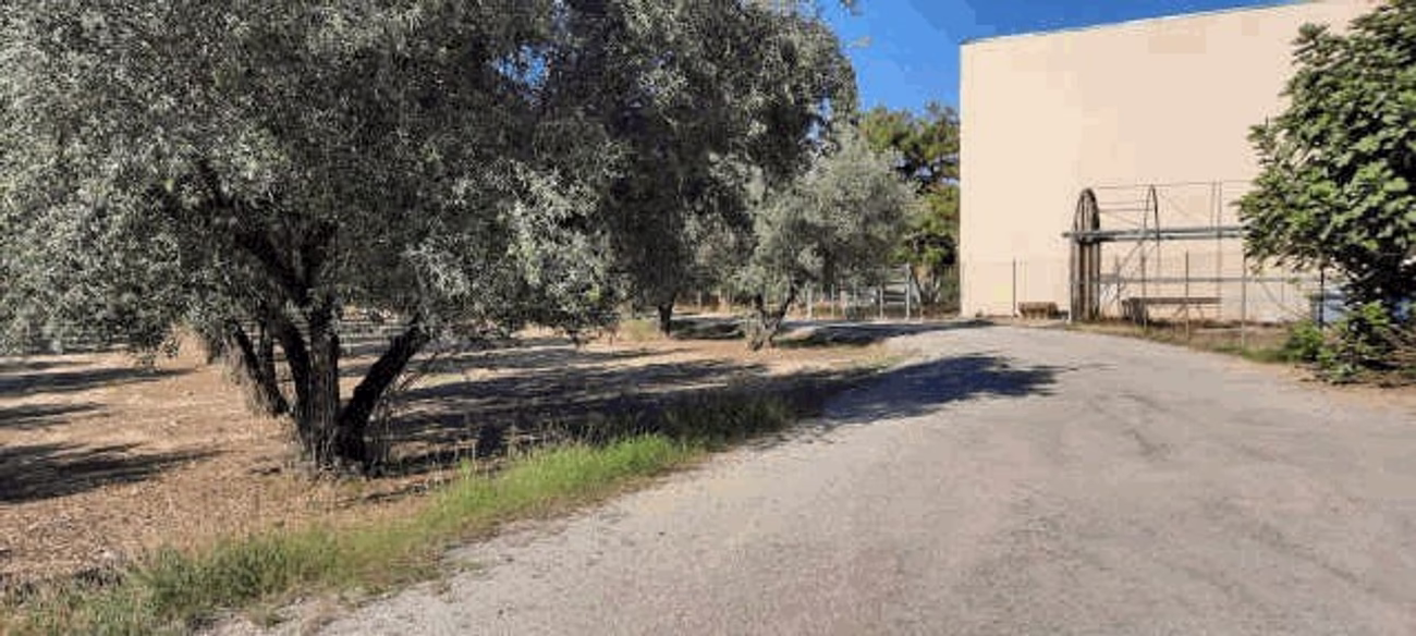 Rustica y otros en Partida de la Venta en Chiva (Valencia)