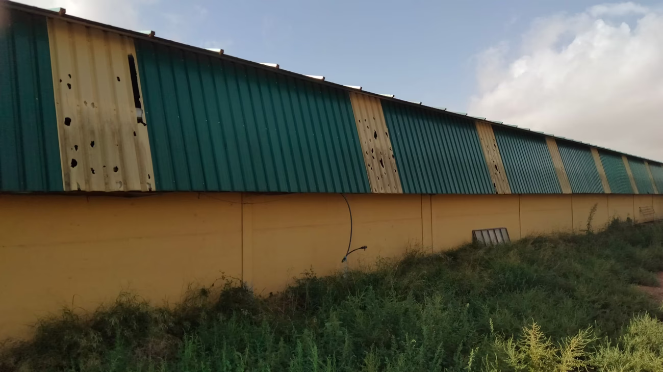 Terreno en Paraje casa de la Sima y el Rubial en Almansa (Albacete)